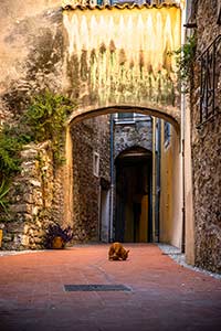 Menton