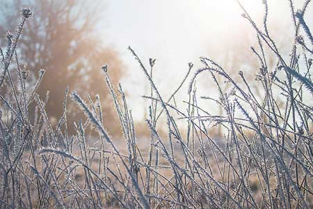 D Hiver Dans Le Quercy